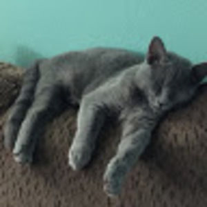 Meet your Posher, Zoey